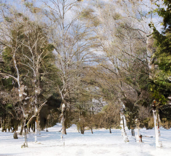 ムンクのサマーハウスのパンフレットから③