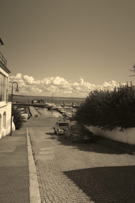 ムンクのサマーハウスのパンフレットから⑥